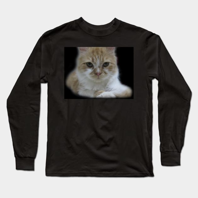 Cute Cat Face Photography Long Sleeve T-Shirt by Looly Elzayat